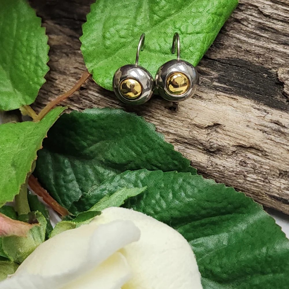 Two Toned Silver Toned and Gold Toned Circle Lever Back Earrings